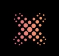 Logo Onyx Technology